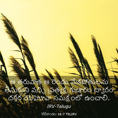 Picture 03 - లేవీకాండం 16:7 TELIRV - ఆ తరువాత ఆ రెండు - Bible Verse Picture