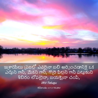 Picture 03 - లేవీకాండం 17:3 TELIRV - ఇశ్రాయేలు - Bible Verse Picture