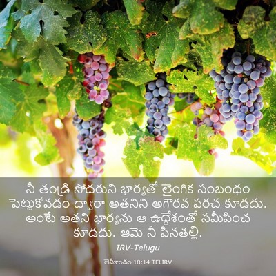 Picture 03 - లేవీకాండం 18:14 TELIRV - నీ తండ్రి సోదరుని - Bible Verse Picture