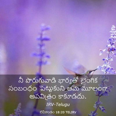 Picture 03 - లేవీకాండం 18:20 TELIRV - నీ పొరుగువాడి - Bible Verse Picture