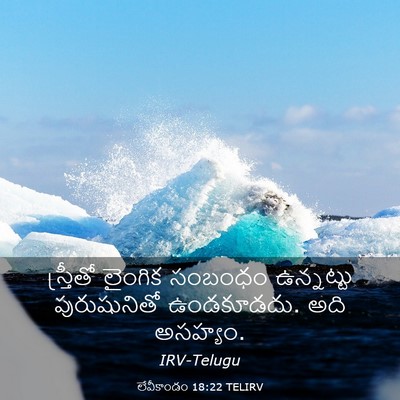 Picture 03 - లేవీకాండం 18:22 TELIRV - స్త్రీతో లైంగిక - Bible Verse Picture