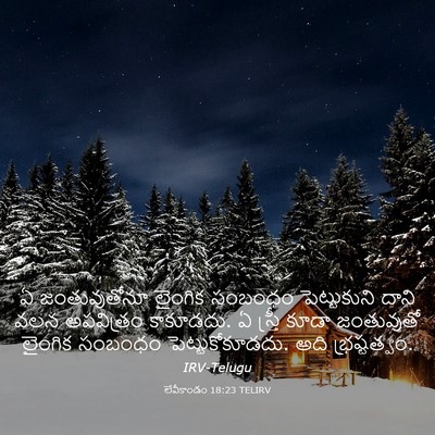 Picture 03 - లేవీకాండం 18:23 TELIRV - ఏ జంతువుతోనూ - Bible Verse Picture