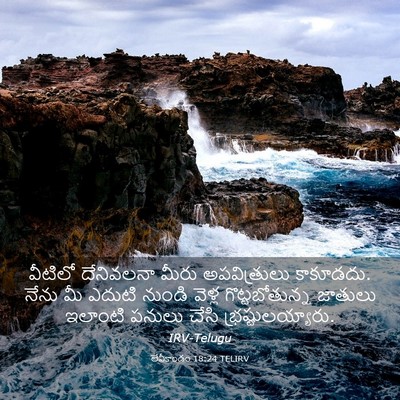 Picture 03 - లేవీకాండం 18:24 TELIRV - వీటిలో దేనివలనా - Bible Verse Picture
