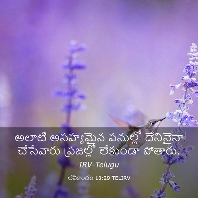 Picture 03 - లేవీకాండం 18:29 TELIRV - అలాటి అసహ్యమైన - Bible Verse Picture