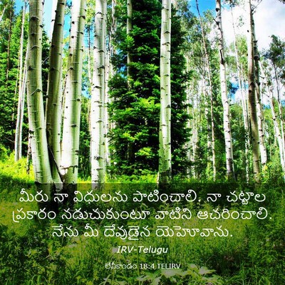 Picture 03 - లేవీకాండం 18:4 TELIRV - మీరు నా విధులను - Bible Verse Picture