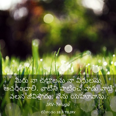 Picture 03 - లేవీకాండం 18:5 TELIRV - మీరు నా చట్టాలను - Bible Verse Picture
