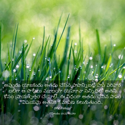 Picture 03 - లేవీకాండం 19:22 TELIRV - అప్పుడు యాజకుడు - Bible Verse Picture