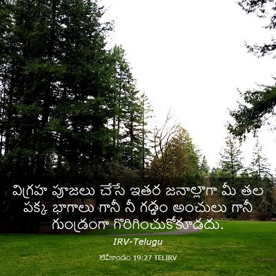 Picture 03 - లేవీకాండం 19:27 TELIRV - విగ్రహ పూజలు చేసే - Bible Verse Picture