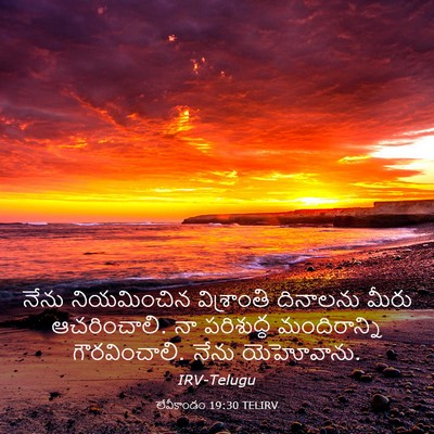 Picture 03 - లేవీకాండం 19:30 TELIRV - నేను నియమించిన - Bible Verse Picture