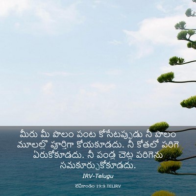 Picture 03 - లేవీకాండం 19:9 TELIRV - మీరు మీ పొలం పంట - Bible Verse Picture