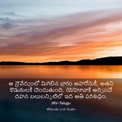 Picture 03 - లేవీకాండం 2:10 TELIRV - ఆ నైవేద్యంలో - Bible Verse Picture