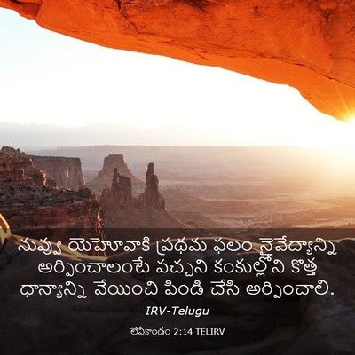 Picture 03 - లేవీకాండం 2:14 TELIRV - నువ్వు యెహోవాకి - Bible Verse Picture