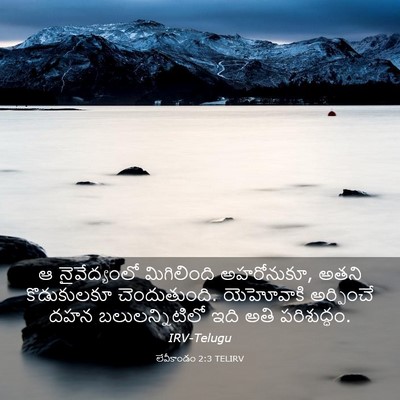 Picture 03 - లేవీకాండం 2:3 TELIRV - ఆ నైవేద్యంలో - Bible Verse Picture