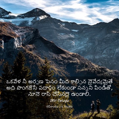 Picture 03 - లేవీకాండం 2:5 TELIRV - ఒకవేళ నీ అర్పణ - Bible Verse Picture