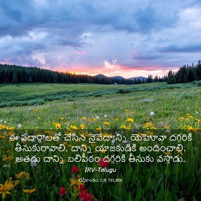 Picture 03 - లేవీకాండం 2:8 TELIRV - ఈ పదార్ధాలతో - Bible Verse Picture