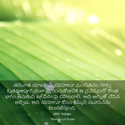 Picture 03 - లేవీకాండం 2:9 TELIRV - తరువాత యాజకుడు - Bible Verse Picture