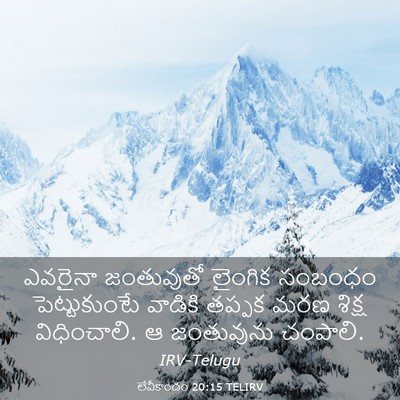 Picture 03 - లేవీకాండం 20:15 TELIRV - ఎవరైనా జంతువుతో - Bible Verse Picture