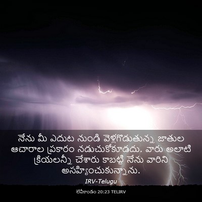 Picture 03 - లేవీకాండం 20:23 TELIRV - నేను మీ ఎదుట నుండి - Bible Verse Picture