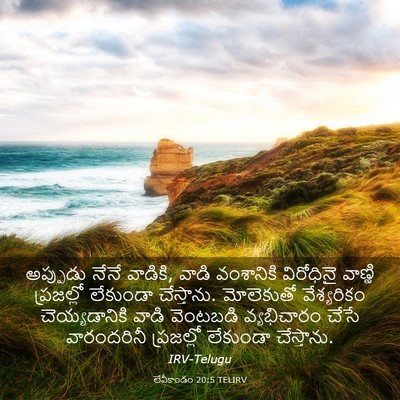 Picture 03 - లేవీకాండం 20:5 TELIRV - అప్పుడు నేనే - Bible Verse Picture