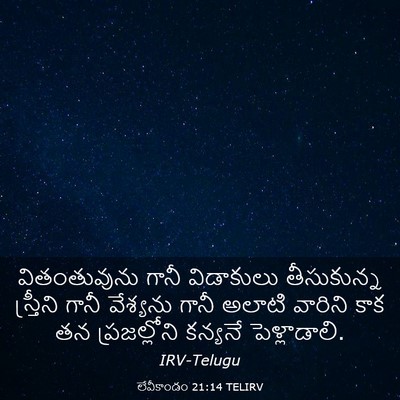 Picture 03 - లేవీకాండం 21:14 TELIRV - వితంతువును గానీ - Bible Verse Picture
