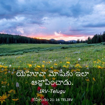 Picture 03 - లేవీకాండం 21:16 TELIRV - యెహోవా మోషేకు ఇలా - Bible Verse Picture