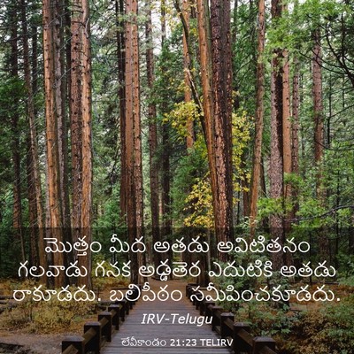 Picture 03 - లేవీకాండం 21:23 TELIRV - మొత్తం మీద అతడు - Bible Verse Picture