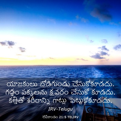 Picture 03 - లేవీకాండం 21:5 TELIRV - యాజకులు బోడిగుండు - Bible Verse Picture