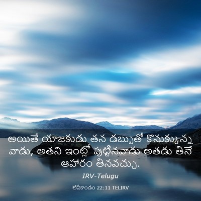 Picture 03 - లేవీకాండం 22:11 TELIRV - అయితే యాజకుడు తన - Bible Verse Picture