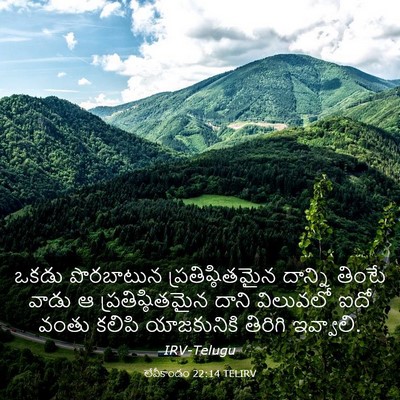 Picture 03 - లేవీకాండం 22:14 TELIRV - ఒకడు పొరబాటున - Bible Verse Picture