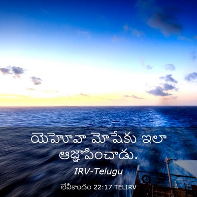 Picture 03 - లేవీకాండం 22:17 TELIRV - యెహోవా మోషేకు ఇలా - Bible Verse Picture
