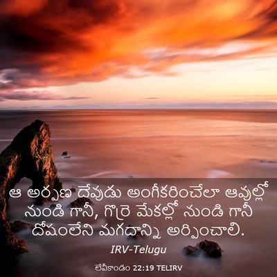 Picture 03 - లేవీకాండం 22:19 TELIRV - ఆ అర్పణ దేవుడు - Bible Verse Picture