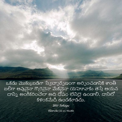 Picture 03 - లేవీకాండం 22:21 TELIRV - ఒకడు మొక్కుబడిగా - Bible Verse Picture