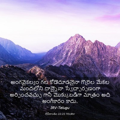 Picture 03 - లేవీకాండం 22:23 TELIRV - అంగవైకల్యం గల - Bible Verse Picture