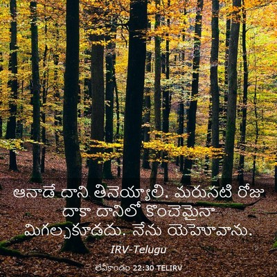 Picture 03 - లేవీకాండం 22:30 TELIRV - ఆనాడే దాని - Bible Verse Picture