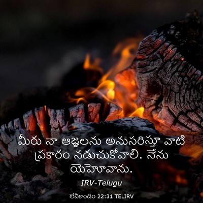 Picture 03 - లేవీకాండం 22:31 TELIRV - మీరు నా ఆజ్ఞలను - Bible Verse Picture