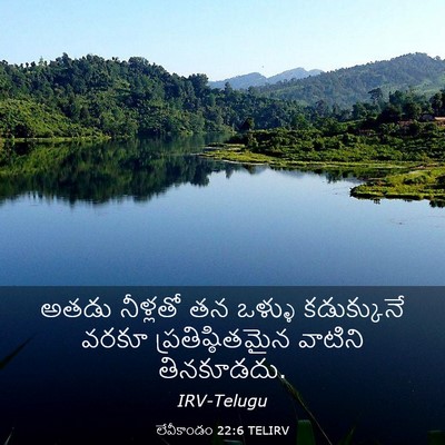 Picture 03 - లేవీకాండం 22:6 TELIRV - అతడు నీళ్లతో తన - Bible Verse Picture