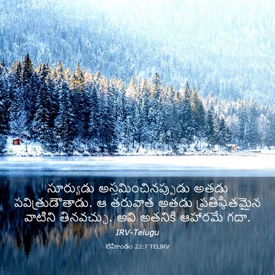 Picture 03 - లేవీకాండం 22:7 TELIRV - సూర్యుడు - Bible Verse Picture