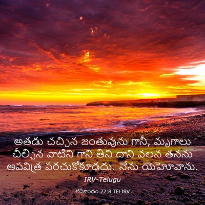 Picture 03 - లేవీకాండం 22:8 TELIRV - అతడు చచ్చిన - Bible Verse Picture