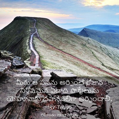Picture 03 - లేవీకాండం 23:12 TELIRV - మీరు ఆ పనను - Bible Verse Picture