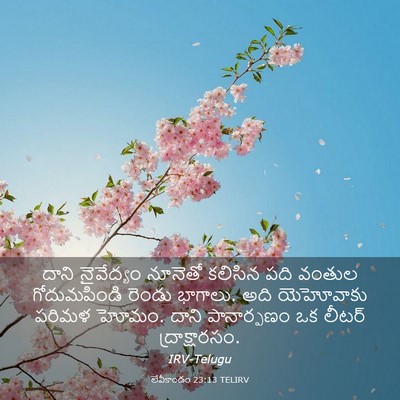 Picture 03 - లేవీకాండం 23:13 TELIRV - దాని నైవేద్యం - Bible Verse Picture