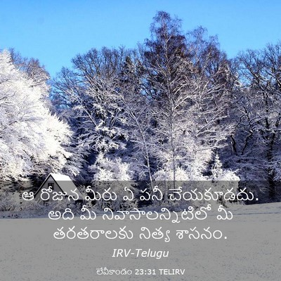 Picture 03 - లేవీకాండం 23:31 TELIRV - ఆ రోజున మీరు ఏ పనీ - Bible Verse Picture