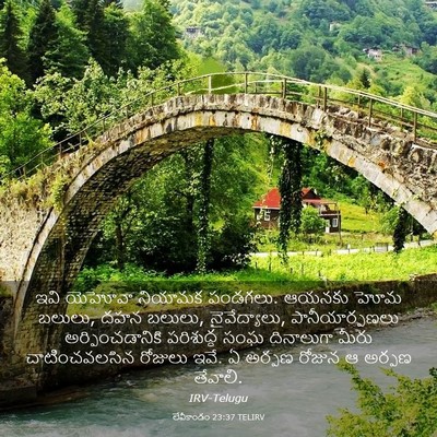 Picture 03 - లేవీకాండం 23:37 TELIRV - ఇవి యెహోవా నియామక - Bible Verse Picture