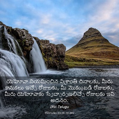 Picture 03 - లేవీకాండం 23:38 TELIRV - యెహోవా నియమించిన - Bible Verse Picture