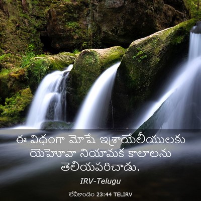 Picture 03 - లేవీకాండం 23:44 TELIRV - ఈ విధంగా మోషే - Bible Verse Picture