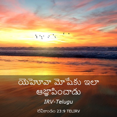 Picture 03 - లేవీకాండం 23:9 TELIRV - యెహోవా మోషేకు ఇలా - Bible Verse Picture