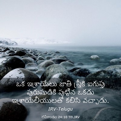 Picture 03 - లేవీకాండం 24:10 TELIRV - ఒక ఇశ్రాయేలు జాతి - Bible Verse Picture
