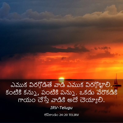 Picture 03 - లేవీకాండం 24:20 TELIRV - ఎముక విరగ్గొడితే - Bible Verse Picture