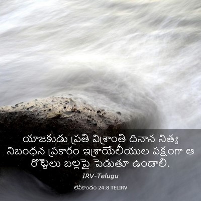 Picture 03 - లేవీకాండం 24:8 TELIRV - యాజకుడు ప్రతి - Bible Verse Picture