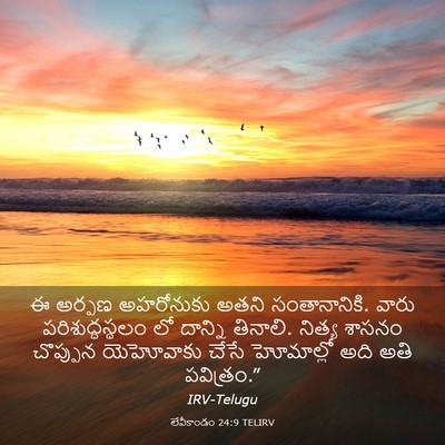 Picture 03 - లేవీకాండం 24:9 TELIRV - ఈ అర్పణ అహరోనుకు - Bible Verse Picture