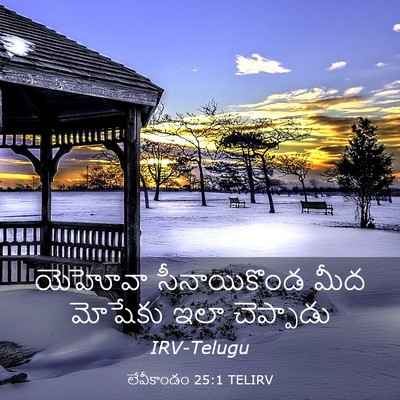 Picture 03 - లేవీకాండం 25:1 TELIRV - యెహోవా సీనాయికొండ - Bible Verse Picture